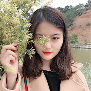 div-class-name-chi-loan-div-div-class-more-info-cong-ty-noi-that-viet-div
